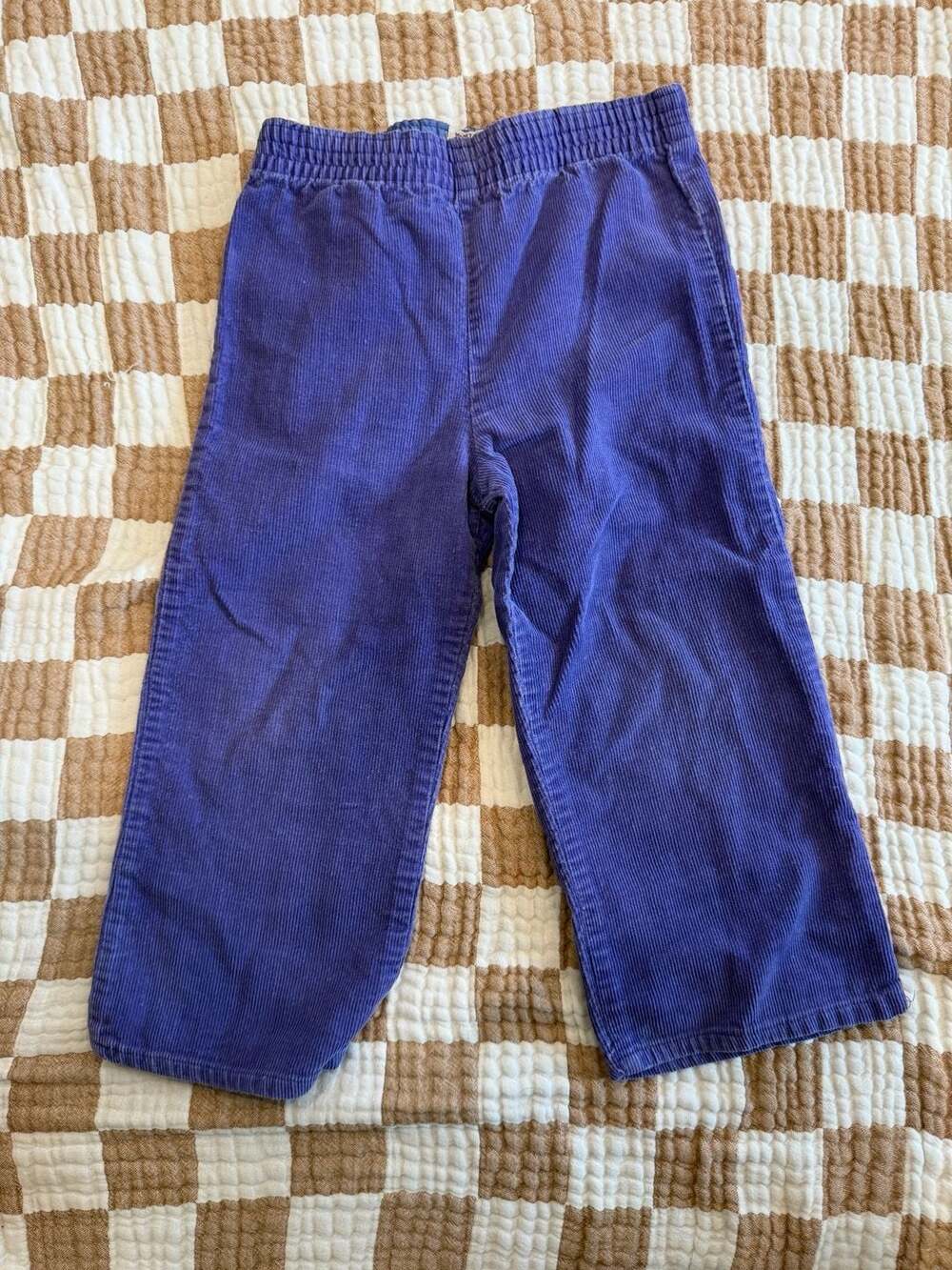 Vintage Corduroy Pants Purple